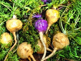 �c���鿴Ԕ��(x��)